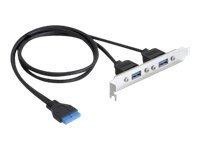 Delock Slot bracket - USB-Konsole - 19-poliger USB 3.0 Kopf (W)