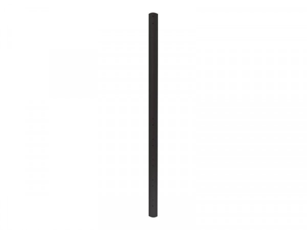 NewStar FPMA-CP200BLACK - Montagekomponente (Erweiterungsstange)