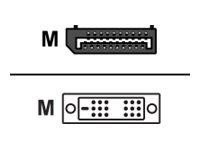 ASUS DisplayPort-Kabel - DisplayPort (M) bis DVI-D (M)