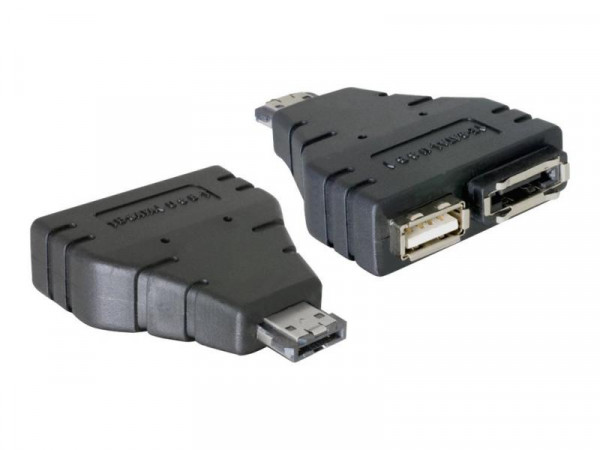 SATA Adapter Delock eSATAp -> eSATA + USB St/Bu
