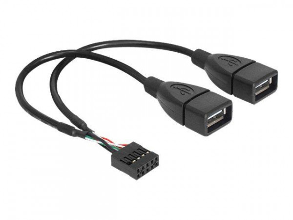 USB Kabel Delock Pinheader 10Pin -> 2x A Bu/Bu 0.20m