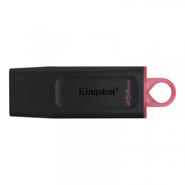 USB-Stick 256GB Kingston DataTraveler DTX USB 3.2 (BL/PI)