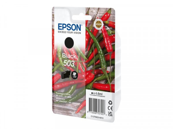 Patrone Epson 503 black T09Q1