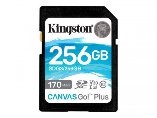 SD MicroSD Card 256GB Kingston SDXC Canvas Go Plus C10