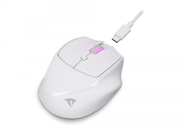 Sharkoon Maus OfficePal M25W Optisch 6 Tasten 4.000 DPI weiß