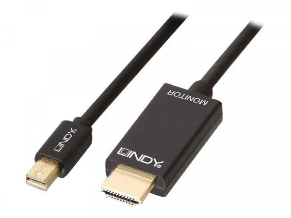 Lindy DisplayPort an HDMI 4K Kabel Aktiv 2m