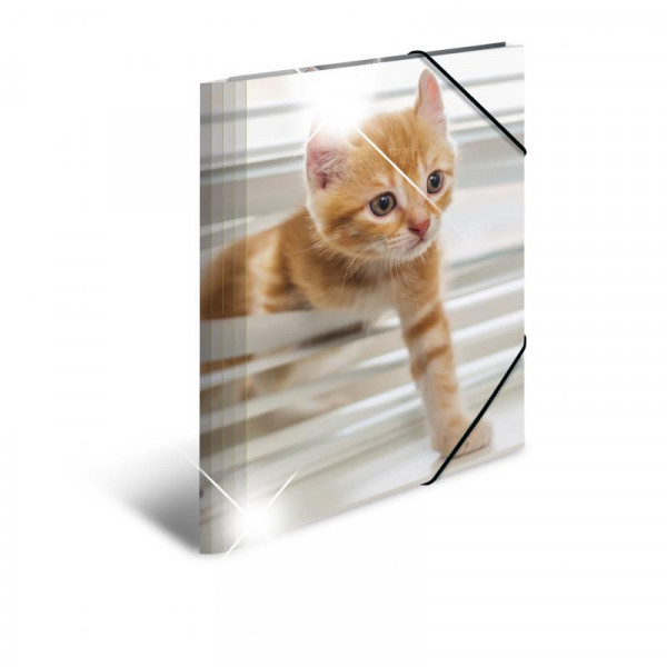 HERMA Sammelmappe A4 Glossy Katze Polypropylen