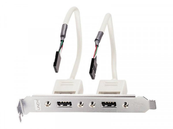 Lindy Slotblech USB Adapter 2x USB TYP A 5 IDC-Kupplung 0.2m