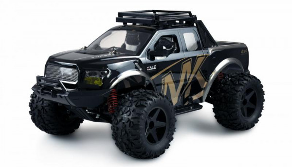 Amewi Warrior Monster Truck 1:10 RTR schw./gold, max. 45km/h