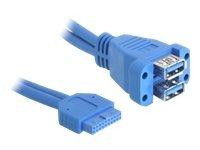 USB3.0 Kabel Delock Pinheader 19pin -> 2x A Bu/Bu 0.45m