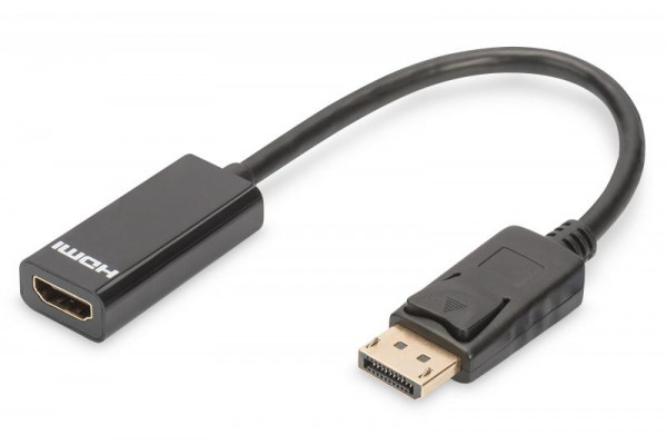DisplayPort Adapter / Konverter, 0,15m, schwarz