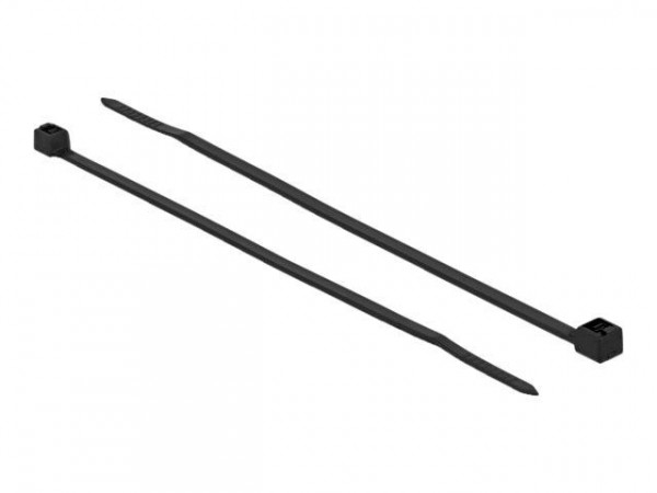 DELOCK Kabelbinder kälteresistent L100xB2,5mm schwarz 100STK